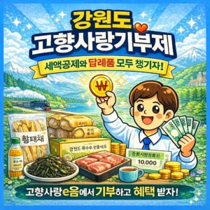 강원도 고향사랑기부제