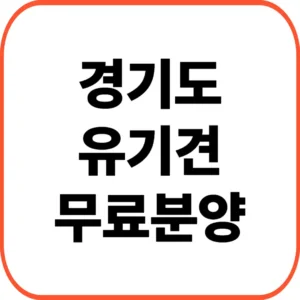 경기도유기견무료분양