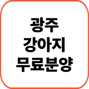 광주 강아지 무료분양