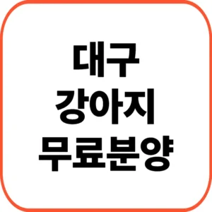 대구 강아지 무료분양