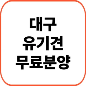 대구유기견무료분양