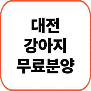 대전 강아지 무료분양