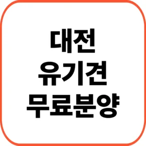 대전유기견무료분양