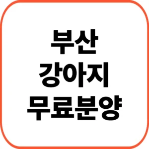 부산 강아지 무료분양