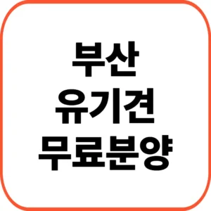 부산유기견무료분양