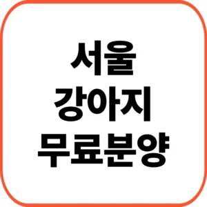 서울 강아지 무료분양