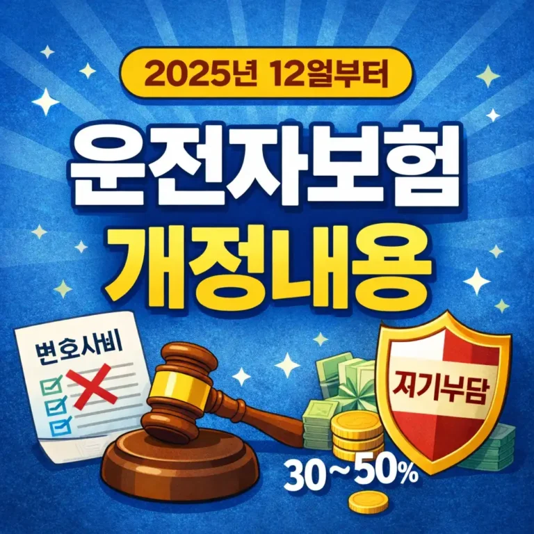 운전자보험개정내용