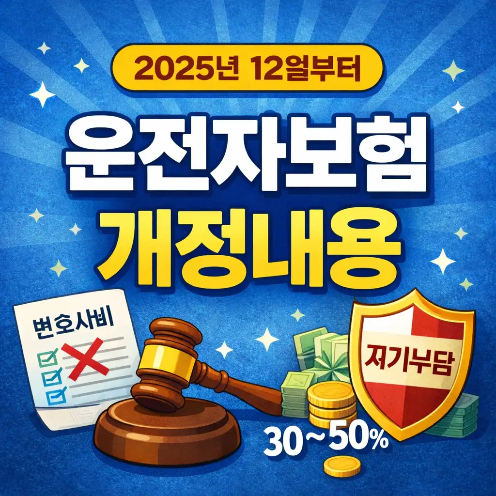 운전자보험개정내용