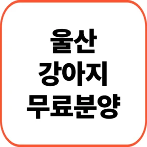 울산 강아지 무료분양