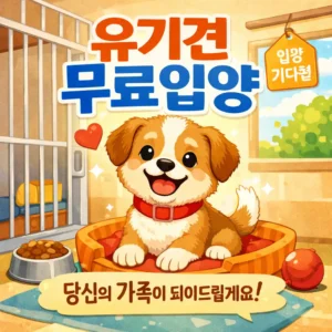 유기견무료입양