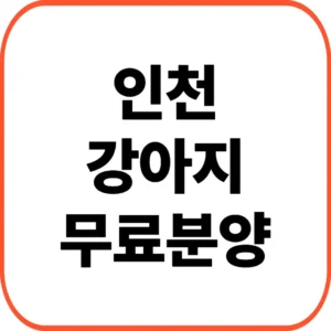 인천 강아지 무료분양