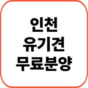 인천유기견무료분양