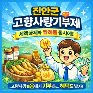 진안군 고향사랑기부제