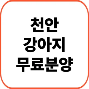천안 강아지 무료분양