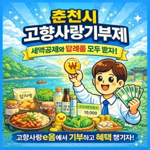 춘천시 고향사랑기부제