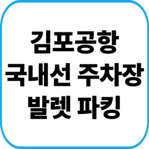 김포공항 국내선 발렛파킹