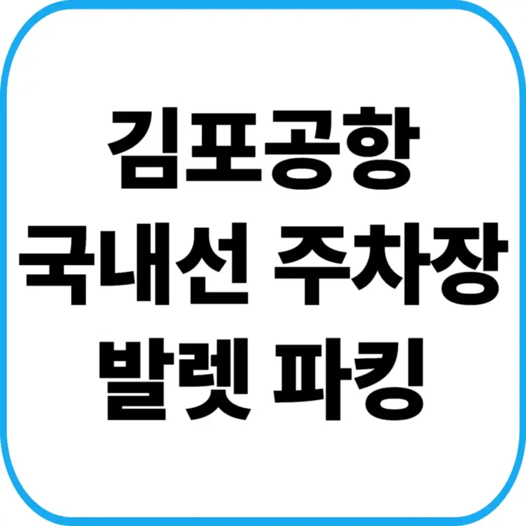 김포공항 국내선 발렛파킹