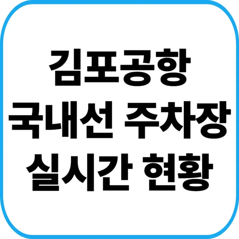 김포공항 국내선 주차 현황
