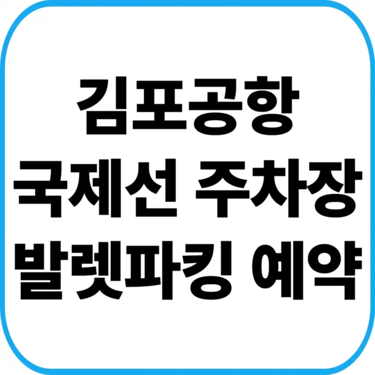 김포공항 국제선 주차장 발렛파킹