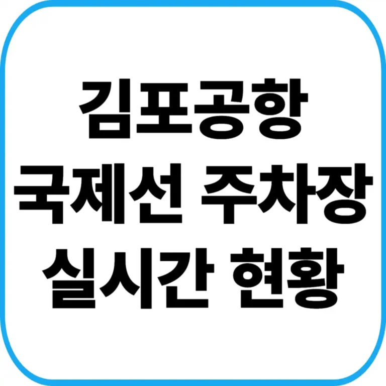 김포공항 국제선 주차장 실시간 현황