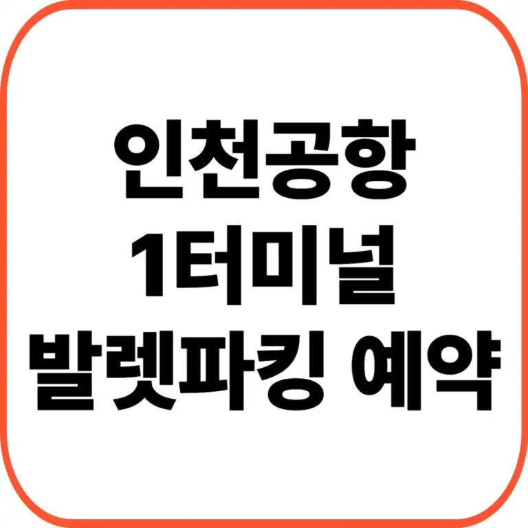 인천공항 1터미널 발렛