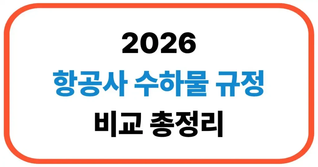 항공사 수하물 규정 비교