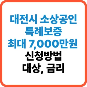 대전시 소상공인 특례보증