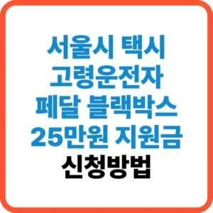 서울시 페달 블랙박스 지원금