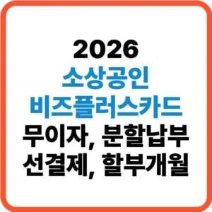 소상공인 비즈플러스카드 무이자