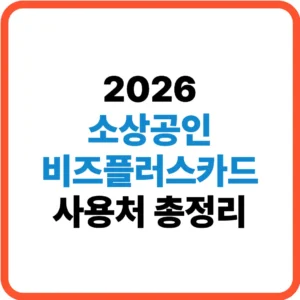 소상공인 비즈플러스카드 사용처