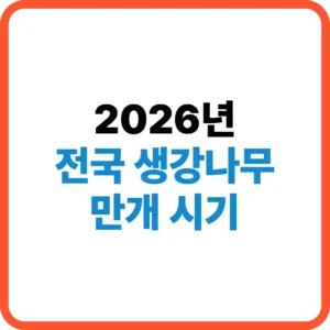 전국 생강나무 만개
