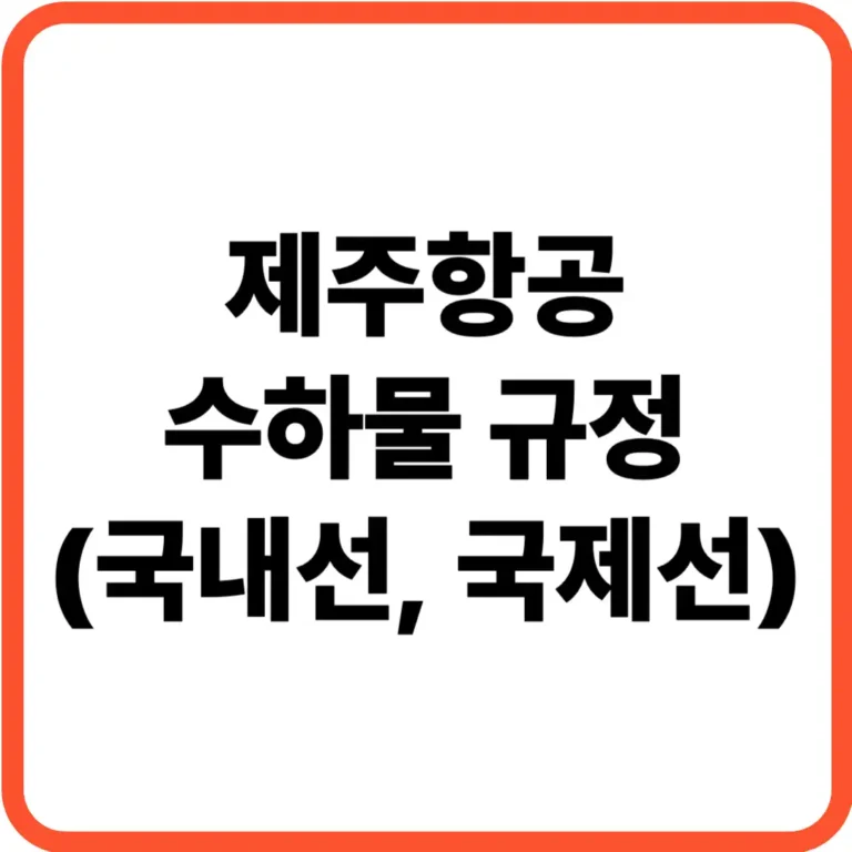 제주항공 수하물 규정