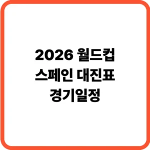 월드컵 스페인 경기일정