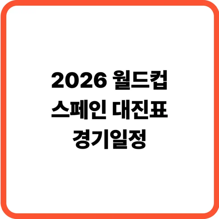 월드컵 스페인 경기일정