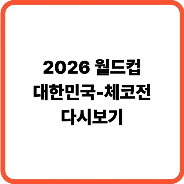 월드컵 체코전 다시보기